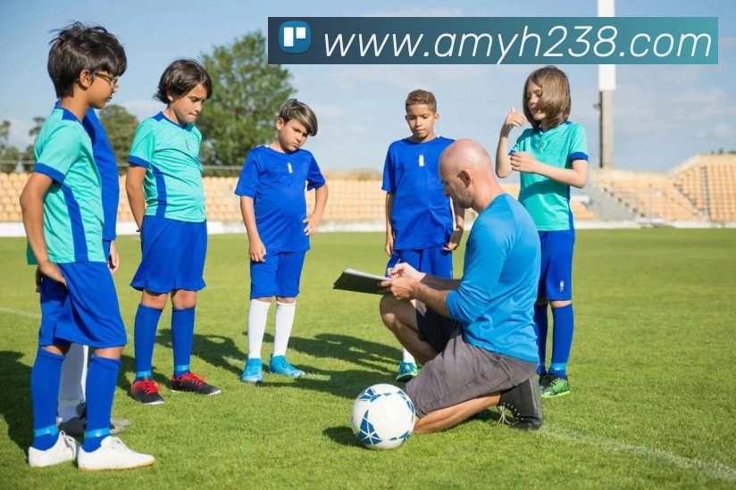 奖项证书